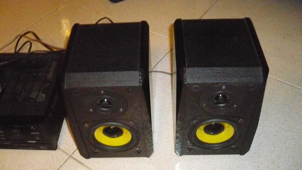 Colunas Dynavox TG 100B