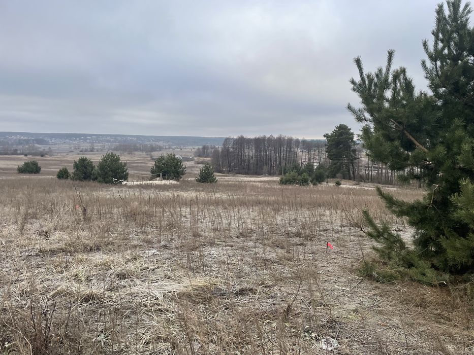 Ділянка біля лісу 10 соток