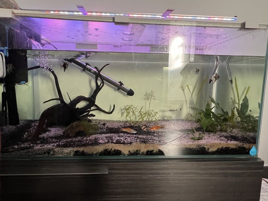 Aquaria 0,80 x 0,40