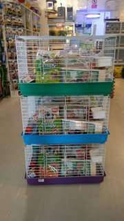 Kit completo para coelhos / porquinhos da Índia