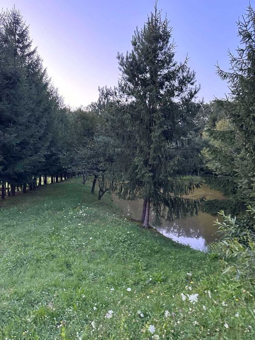 Продається будинок в с. Нересниця