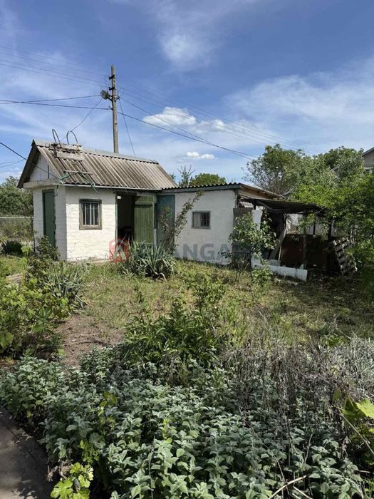 Дача в Микроаївці - View 6