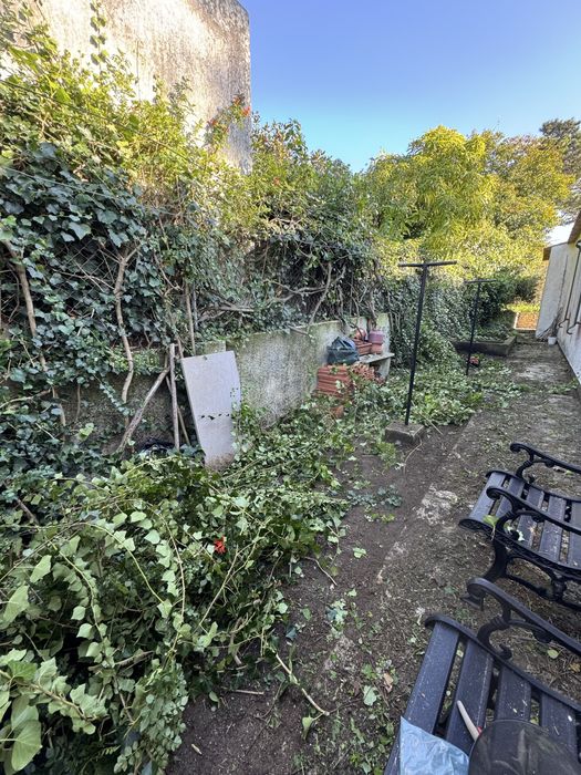 Serviços de jardinagem