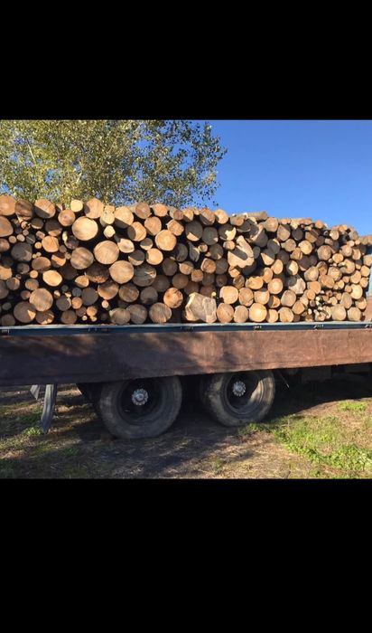 Продам дрова твеодих порід  ..