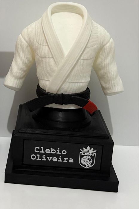 Trofeu bjj - JiuJitsu - Simples de acordo com sua faixa! 15cm