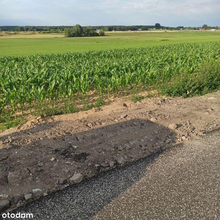 NOWA CENA 80 zł/m2 Działki inwestycyjne Kościan 5533 m² - Widok 5