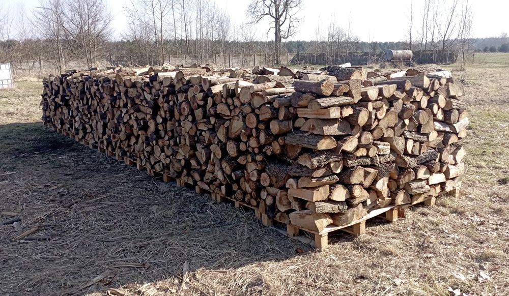 Drewno kominkowe suche liściaste