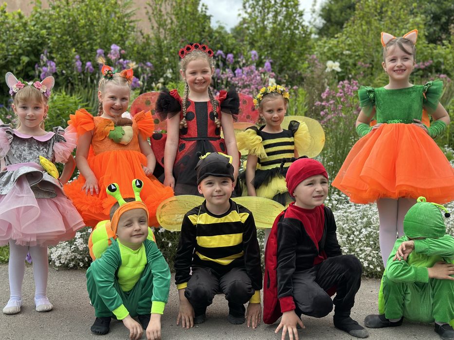 Карнавальний костюм для дітей метелик , жук-сонечко , бджілка, жучок