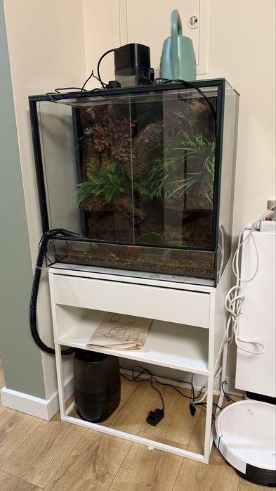 Terrarium dla gekona