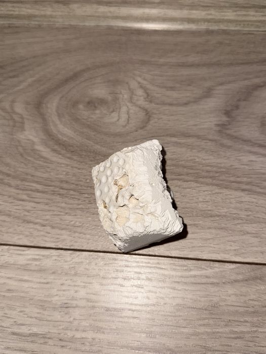 Для хомʼяка/гризуна корм, тирса, печиво, пісок