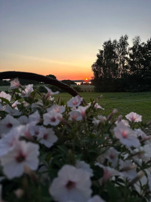 Agroturystyka "Kaliszówka" wolne terminy