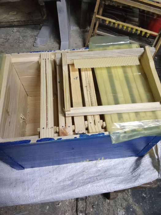 Продам нуклеус..