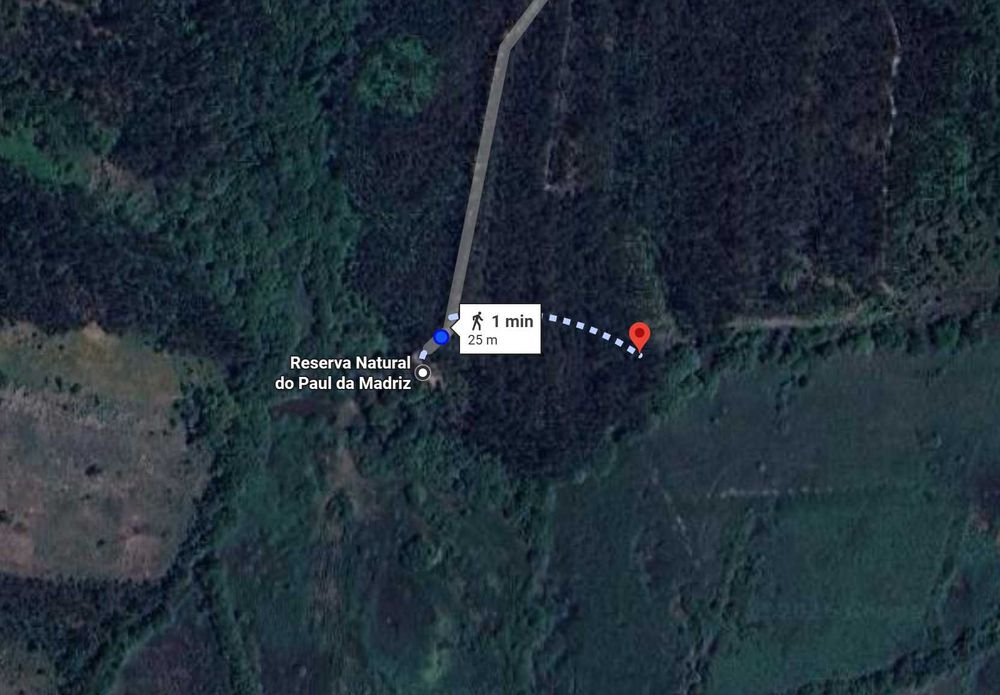 Terreno rústico p/ apicultura e lazer – Paúl da Madriz – Alfarelos