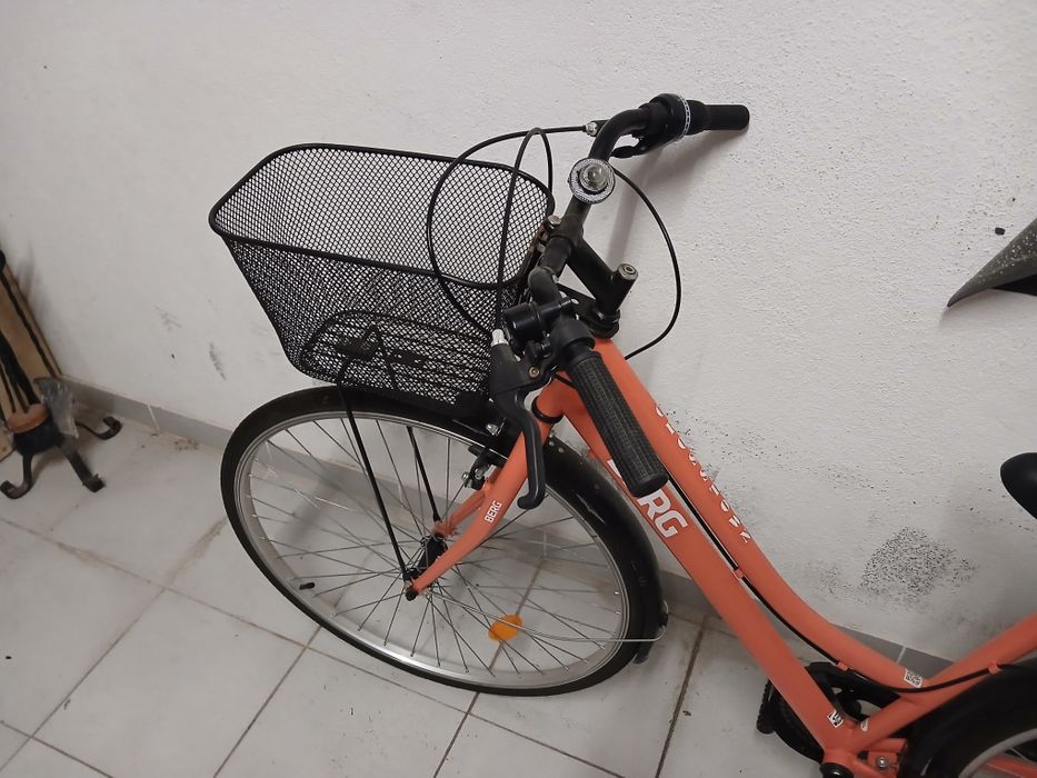Bicicleta Adulto