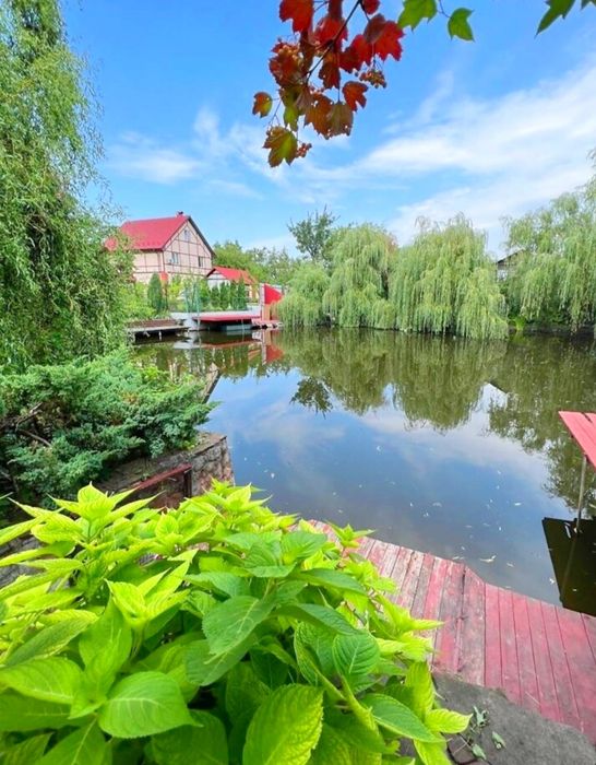 615 Будинок біля Дніпра подобово з озером