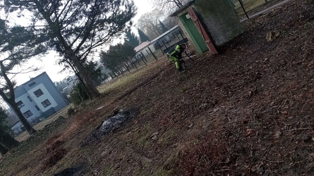 Rozbiórki/Wycinka/Karczowanie/Pracę Porządkowe/Koszenie itp