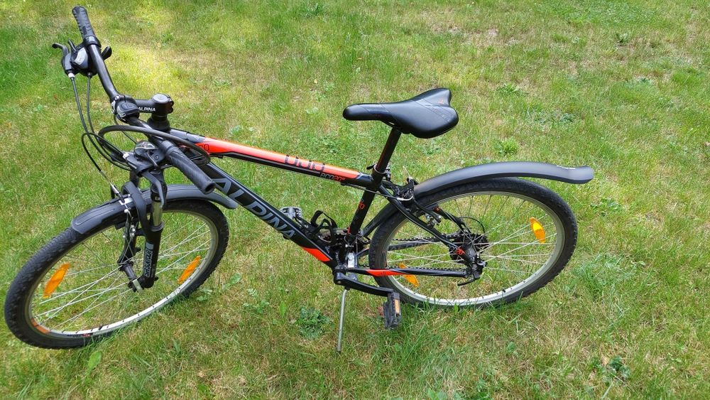 Rower Alpina ECO 20 M