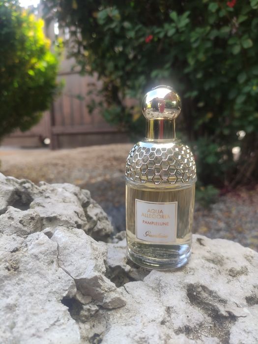 Парфуми Guerlain Aqua Allegoria Pamplelune
