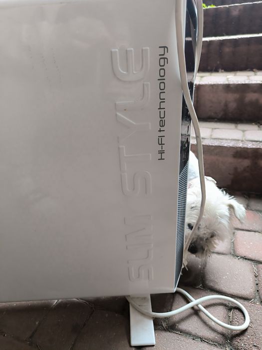 Grzejnik DeLonghi HCX9120E