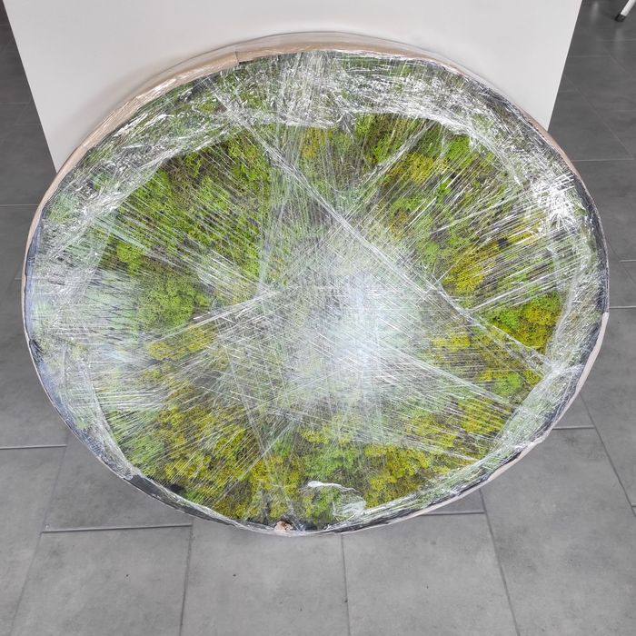 Креативна картина із моху 90см LED light