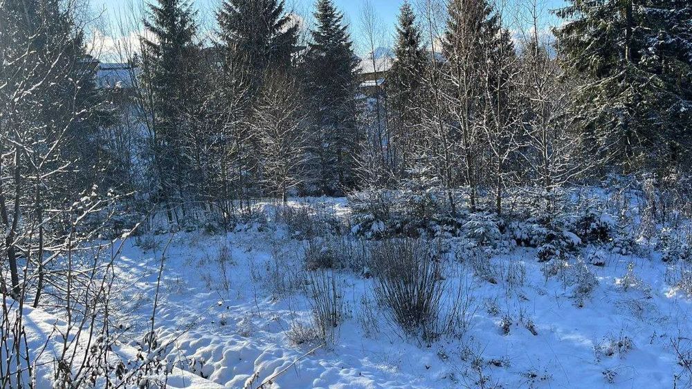 Продаж земельної ділянки с. Яблуниця