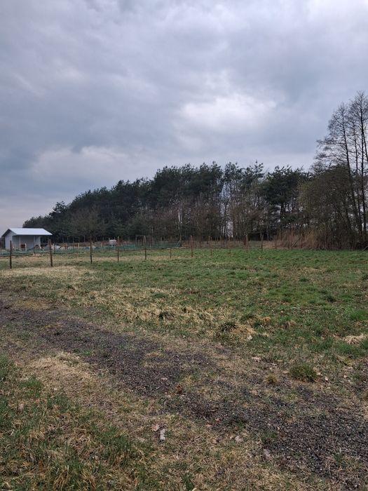 Działka Radomyśl Wielki - Widok 3