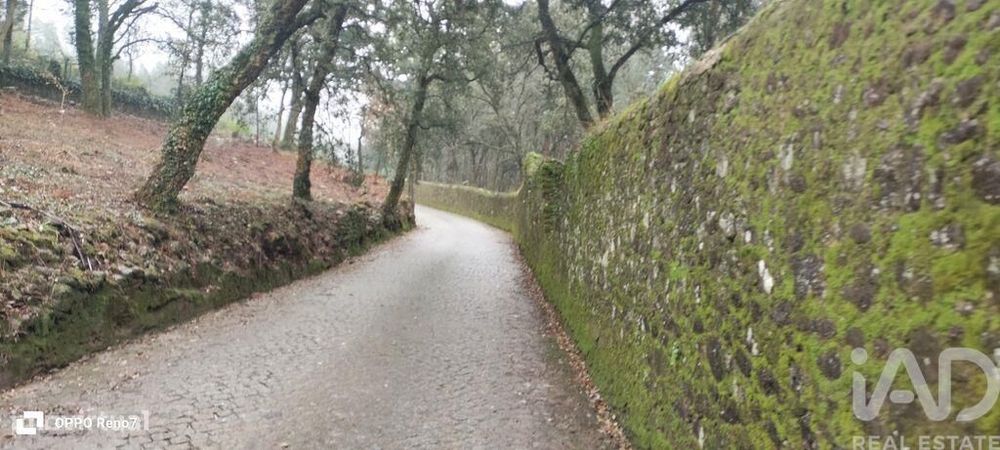 Terreno em Fornelo e Vairão