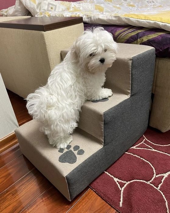 Сходинка для песиків. Світло-бежева