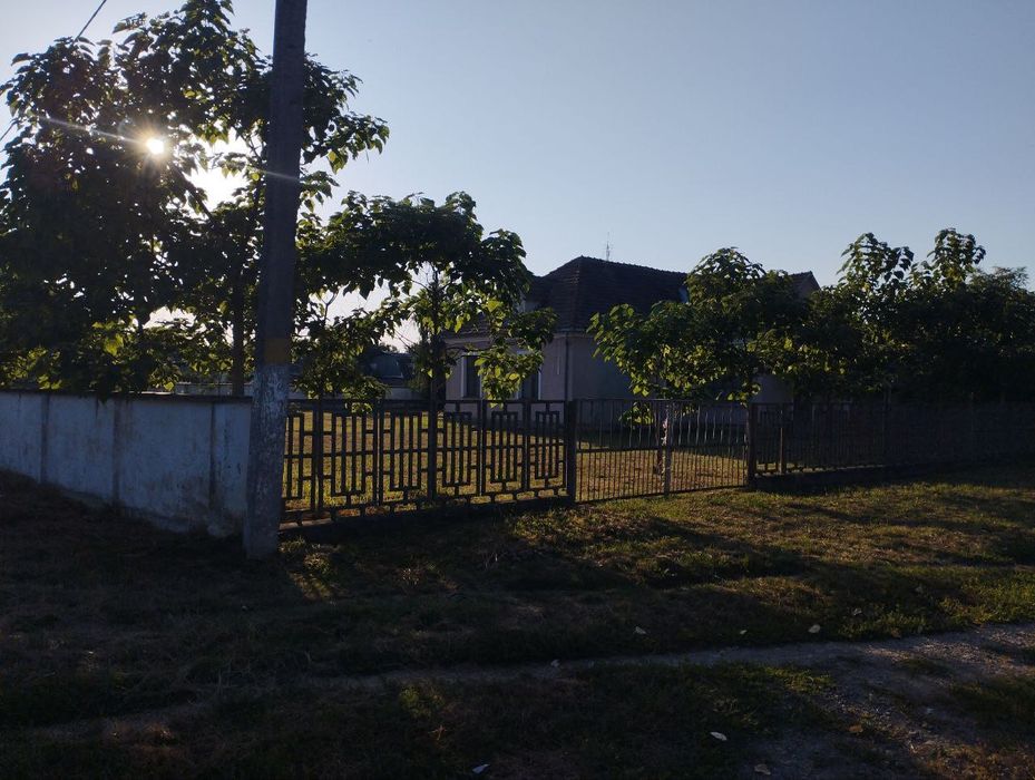 Будинок в Закарпатська обл. Берегівський р-н. с. Бадалово
