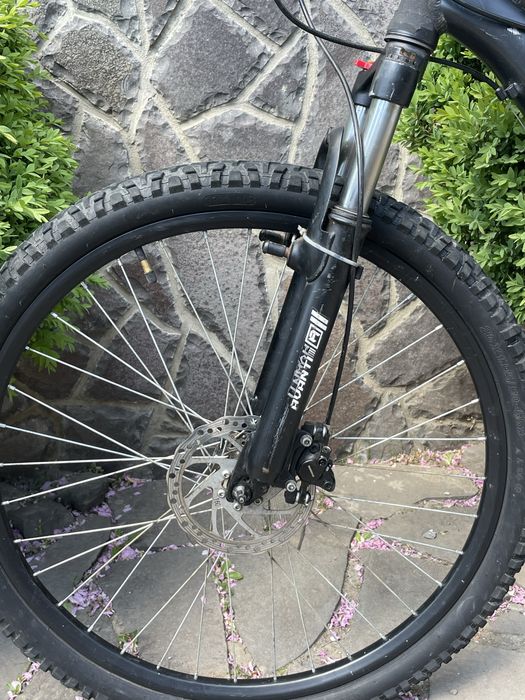 Formula Blackwood AM DD 26" 2022