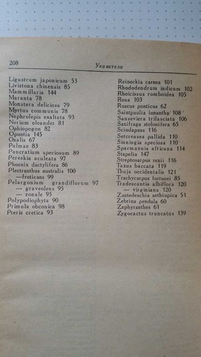 Комнатные растения