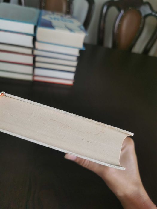 livro Filhos e Amantes - D. H. Lawrence
