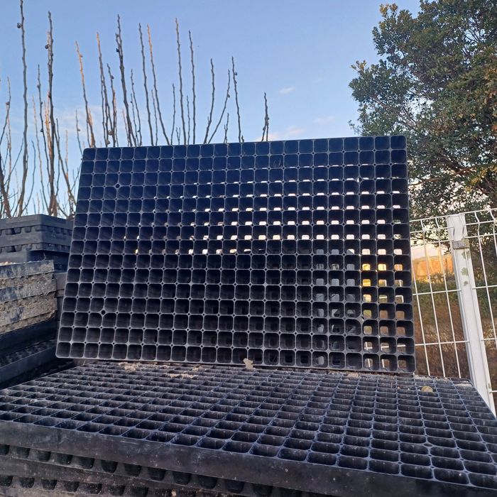 Tabuleiro para semear