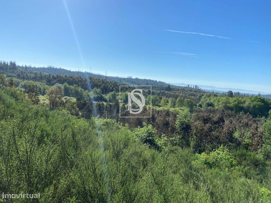 Terreno junto ao rio Dinha