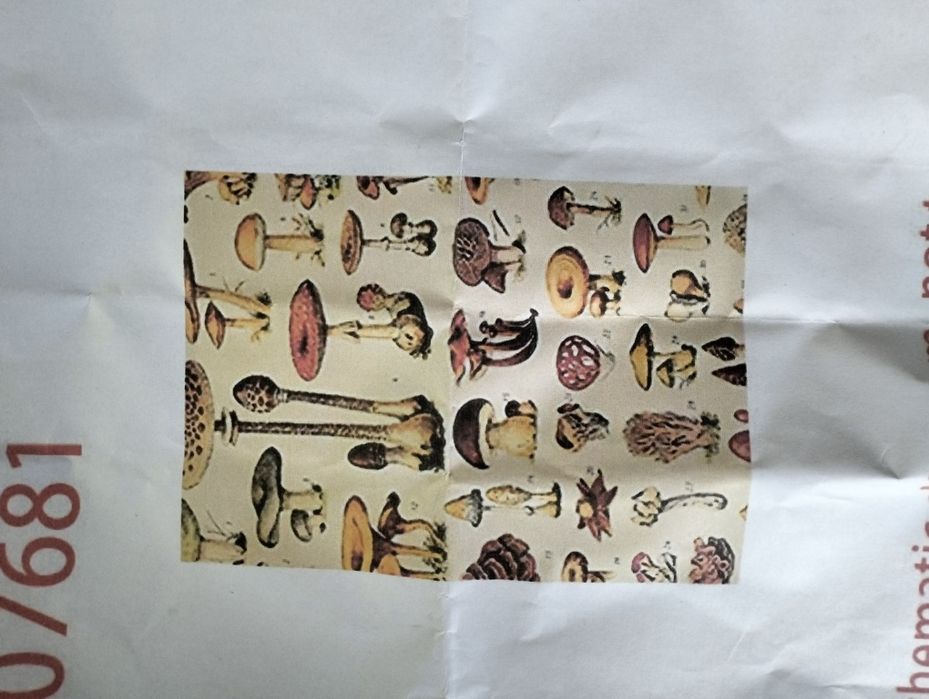 Puzzle z Temu, 1000, Grzyby