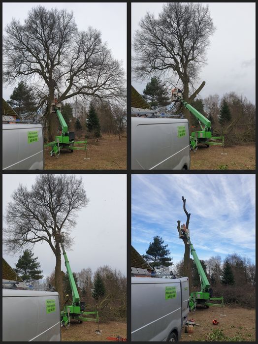 Wycinka drzew, podnośnik koszowy, prace ogrodnicze