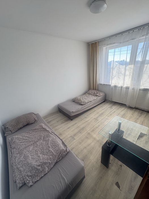dom hostel całość na wynajem
