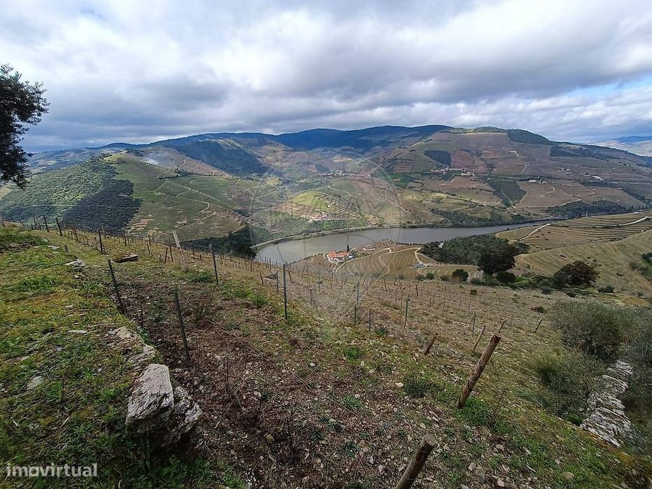 Terreno  para venda