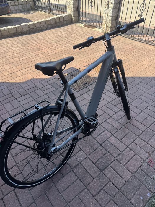 Rower elektryczny RIESSE MULLER Roadster