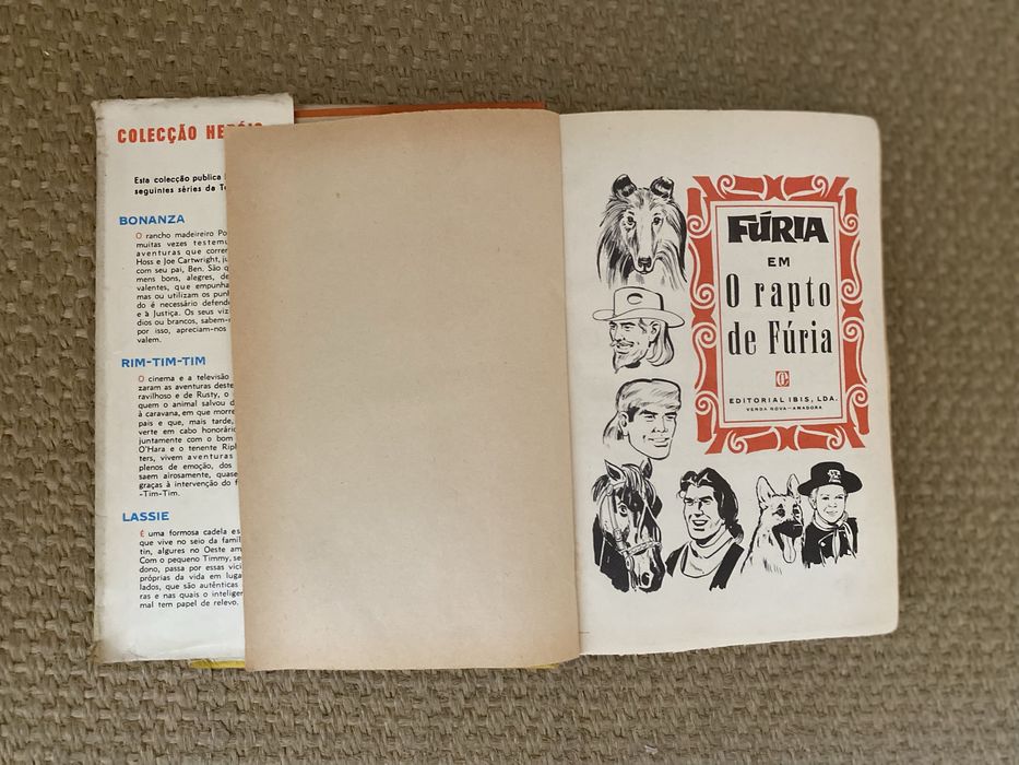 Livro Fúria e Ivanhoe - Walter Scott