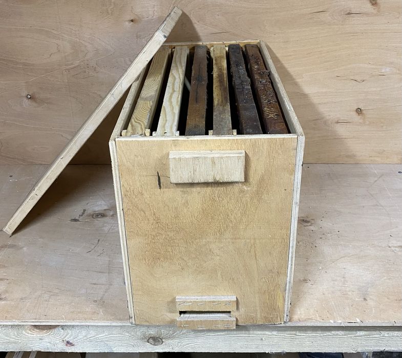 Рійниця для ловлі бджіл