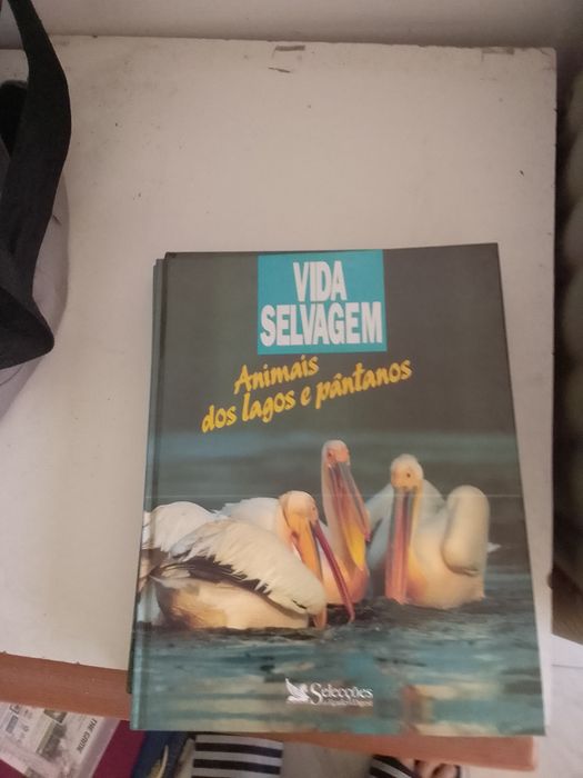 Colecção Livros animais Vida Selvagem