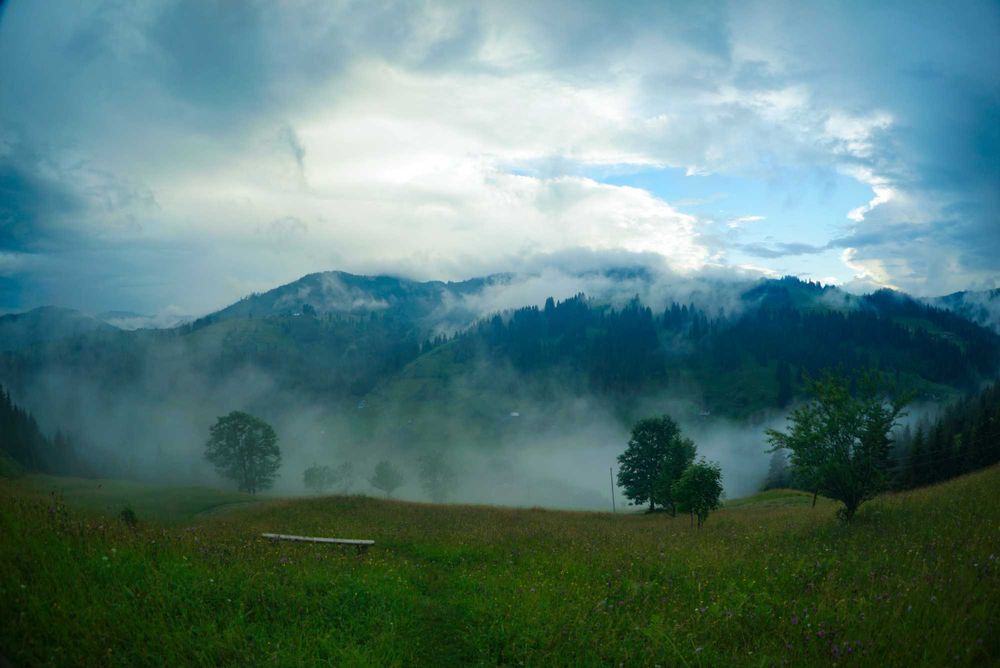 Продам Землю Карпаты Косовский район Ивано-Франковска область