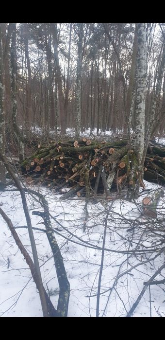 drewno opałowe opał metry iglaste lisciaste