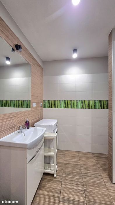 Do wynajęcie mieszkanie studio kawalerka Piotrkowska 10min Manufaktura - Więcej