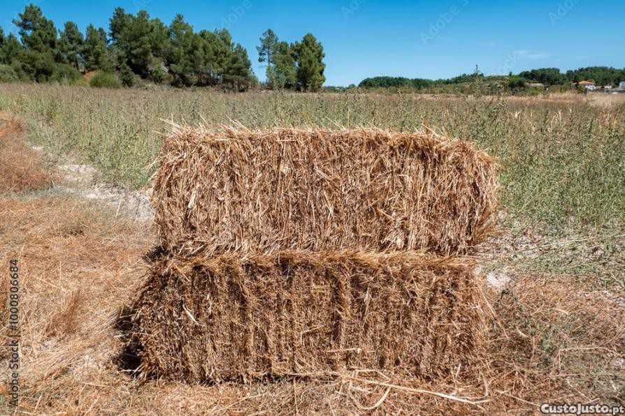 Vendo fardos de palha