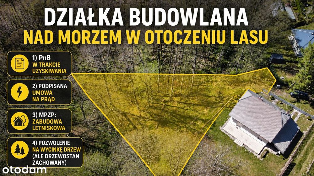 Działka nad morzem, rozpoczęta budowa domku letniskowego, las dookoła