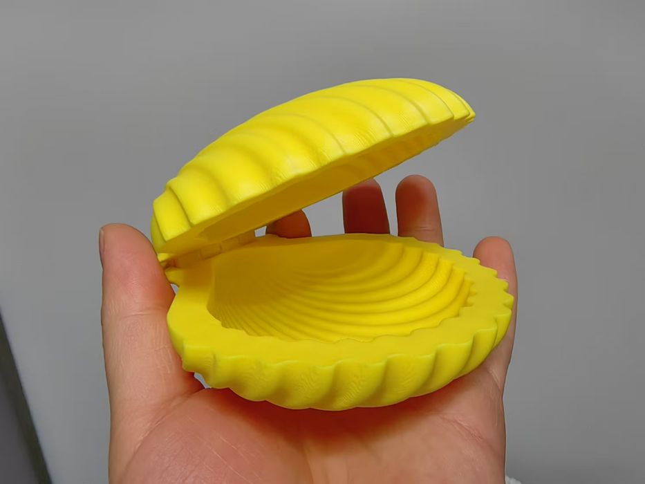 Мушля, ракушка продам