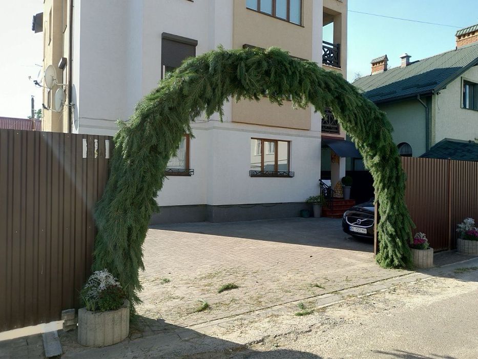 Оренда весільної арки, а також можливий продаж арки