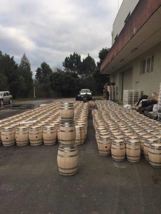 Pipos/Barris de madeira